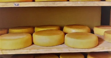 queijo-canastra