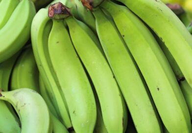 banana-verde