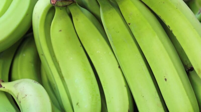 banana-verde